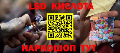 прущие грибы Краснокаменск