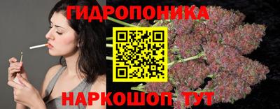 прущие грибы Краснокаменск